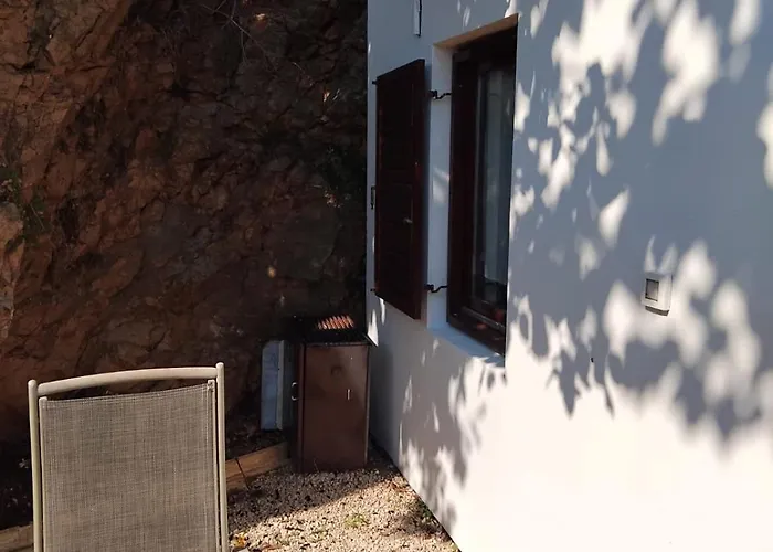 Апартаменты Robi Zman